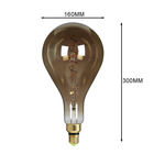 A160 Amber Globe Filament Bulb 2200k Energy Saving High Light Output